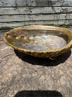 Large Iridescent Abalone Shell Footed Dish